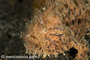 25JRCBIO02615