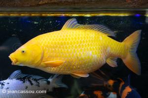 24JRCBIO02204