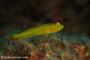 25JRCBIO02402