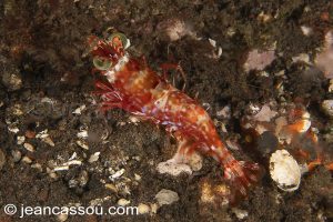 25JRCBIO03541