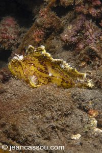 25JRCBIO03582