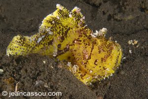 25JRCBIO03588