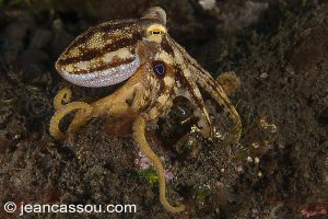 25JRBIO03566