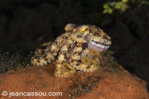 25JRCBIO03569