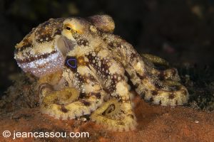 25JRCBIO03571