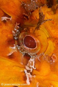 25JRCBIO02282
