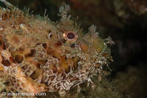 25JRCBIO02318