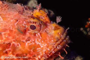 25JRCBIO02418