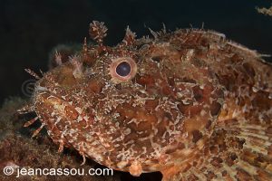 26JRCBIO03824