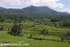 TER Bali
